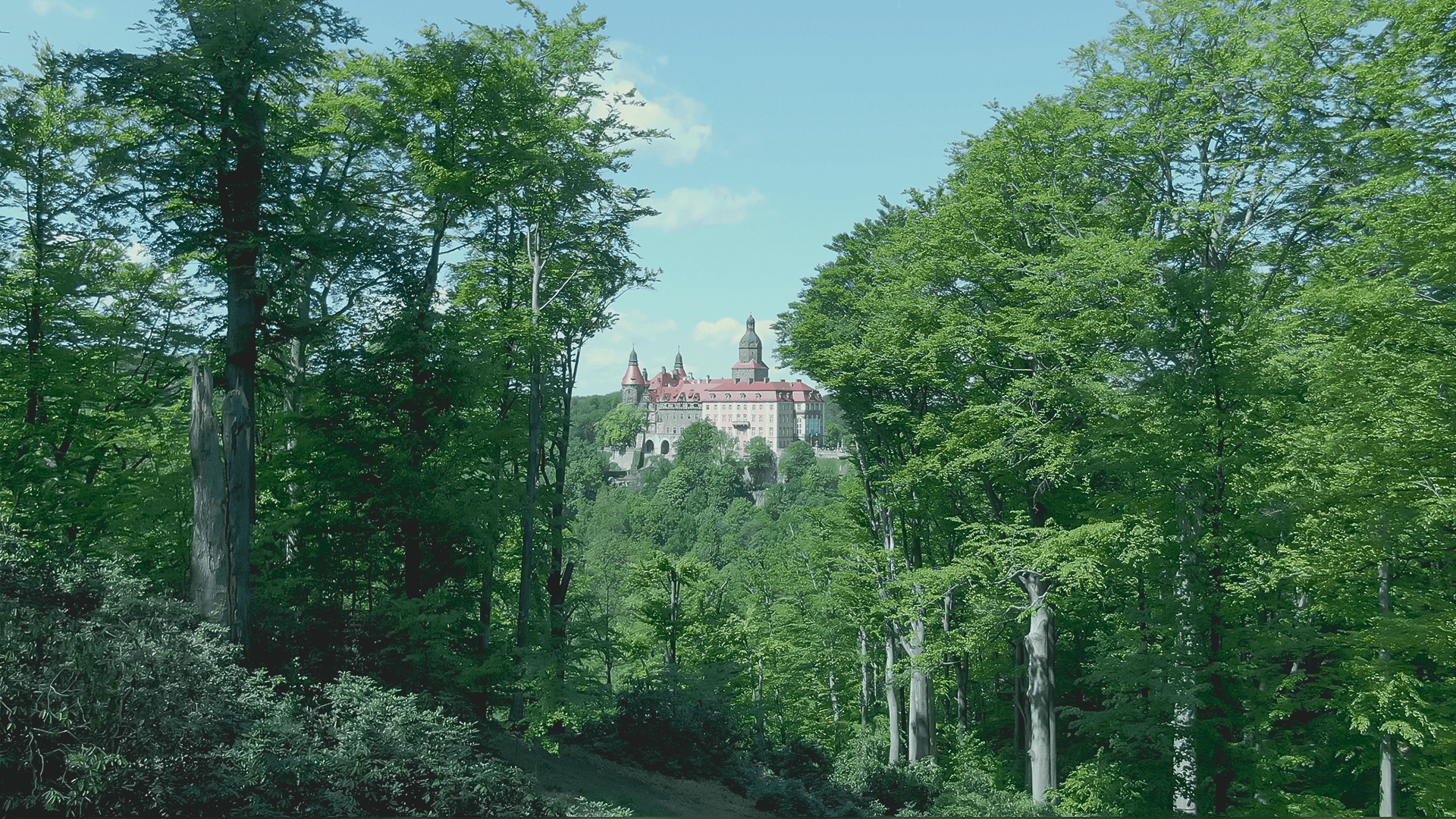 Castlescreen